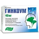Гинкоум капс 40мг N60 уп кнт-яч ПК <15*4>