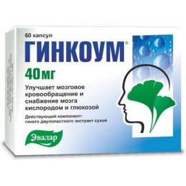 Гинкоум капс 40мг N60 уп кнт-яч ПК <15*4>
