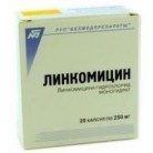 Линкомицин капс 250мг N20 уп кнт-яч ПК <10*2>